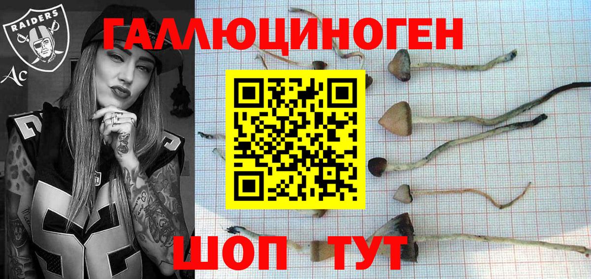 Волхов  Псилоцибиновые грибы прущие грибы  Псилоцибиновые грибы мухоморы  Вход с VPN 