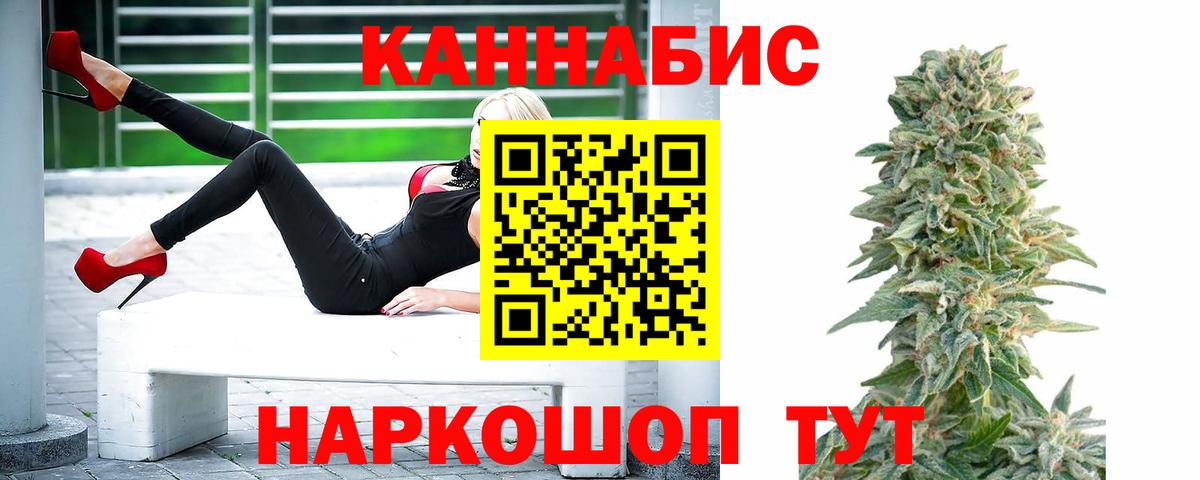 Волхов  Бошки Шишки гибрид  Конопля план  Вход с VPN 